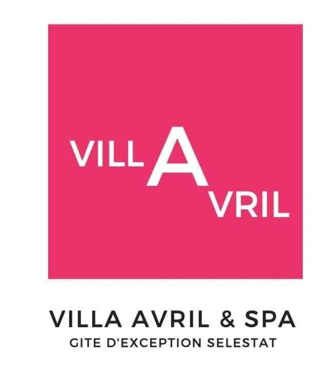 Gite Villa Avril Piscine- Jacuzzi- Sauna - 15 Pers-Proche Europapark Sélestat Exterior foto